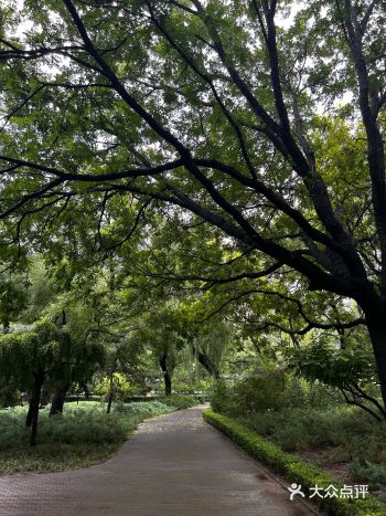 夏日微风来袭，正是有玩好时刻！