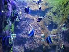 -海合安青岛极地海洋公园