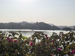 -惠州漫悦花园度假酒店(西湖水东街旗舰店)