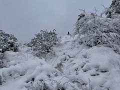 -瓦屋山景区