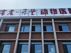 -派美特宠物医院·核磁CT·骨科肿瘤·疑难转诊(沈农禾丰店)