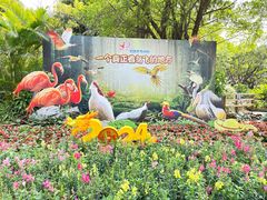 -广州长隆飞鸟乐园