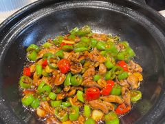 -丁老爷子苏香圆