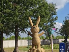 -嘉北郊野公园
