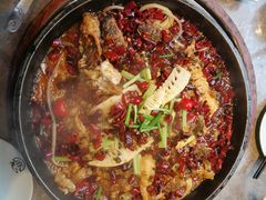 -老板恋上鱼(恒隆广场店)