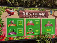 -广州长隆飞鸟乐园
