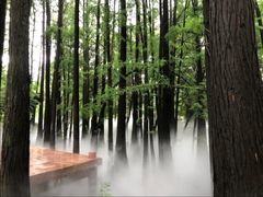 -东湖落雁景区