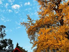 -金堂县云顶石城风景区