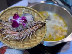 -鲜入围煮花胶鸡海鲜火锅