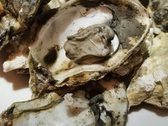 -蓝鲸湾汤泉(包河店)