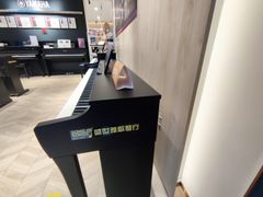-雅歌音乐培训中心·钢琴培训·乐器培训(交道口店)