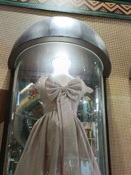 -卡通尼·Safari非洲探索乐园·生日会(金桥国际商业广场店)