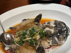 石斑鱼-觅唐MITONG(鸟巢店)