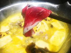 -湊湊火锅·茶憩(石家庄万象城店)