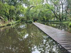 -燕晗山郊野公园