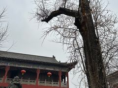 -荆州博物馆