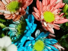 -胡桐里音乐酒馆(孝南店)