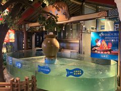 -坛宗剁椒鱼头(河西王府井店)