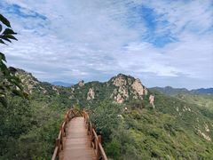 -大岭沟猕猴桃谷风景区
