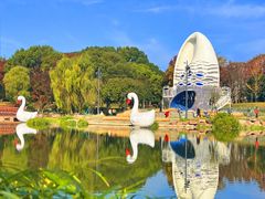 -宁波儿童公园(鄞州区)