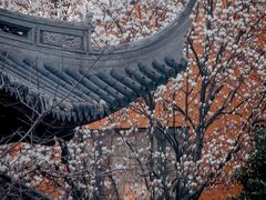 -龙华寺