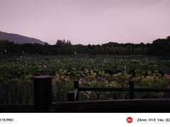 -花城粤菜餐厅(高新区店)