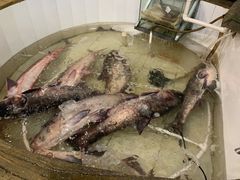 -咱屯子铁锅炖直营店(南湖大路店)