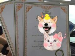 -星海蹦极娱乐