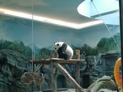 -武汉动物园