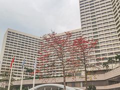 -广州花园酒店