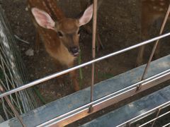 -迪茵湖田家舍生态农场