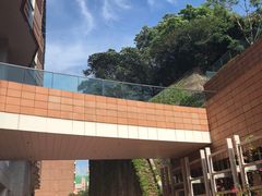-香港大学