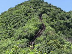 -大岭沟猕猴桃谷风景区