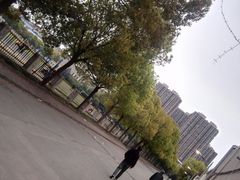 -同济大学(沪西校区)