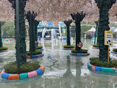 -海合安成都极地海洋公园