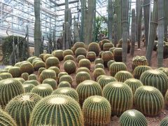 -南山植物园