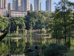 -重庆彩云湖湿地公园