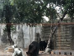 -灵玲国际马戏城