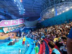 -烟台海昌鲸鲨海洋公园