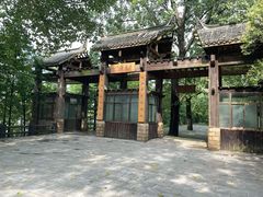 -溱湖国家湿地公园