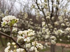 -南京市江宁方山