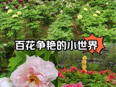 -幕燕滨江·长江观音景区