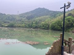 -严子陵钓台(富春江小三峡)