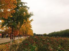 -汉景帝阳陵博物院