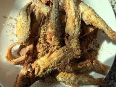 -夏家大锅台炖鱼馆