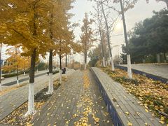 -福缘烤肉王自助(爱琴海-原比尔森店)