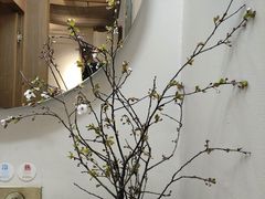 -梅花境(万科店)