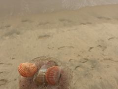 -海云台海滩