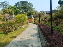 -东莞植物园