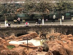 -昆明动物园